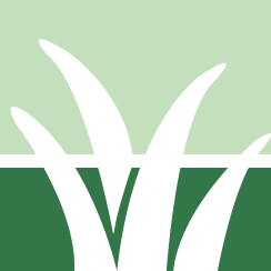 Weed Removal Service Pros