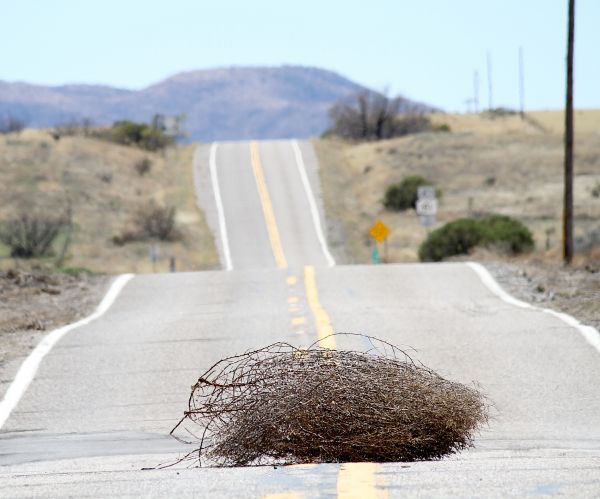 Tumbleweed Control