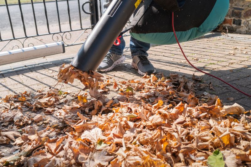 Mulching Leaves for Soil Health
