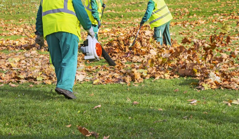 Fall Yard Maintenance Crew