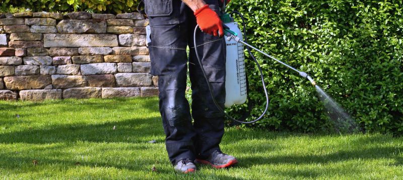 Lawn Spraying in Ventura County, CA