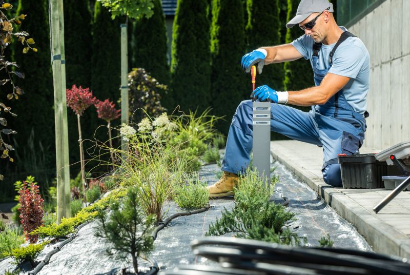 Low Voltage Lighting Service in Denver County, CO