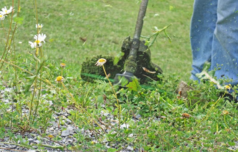 Quick Maintenance Habit