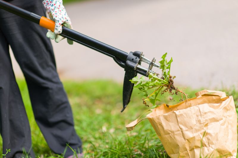 Weed Removal Service
