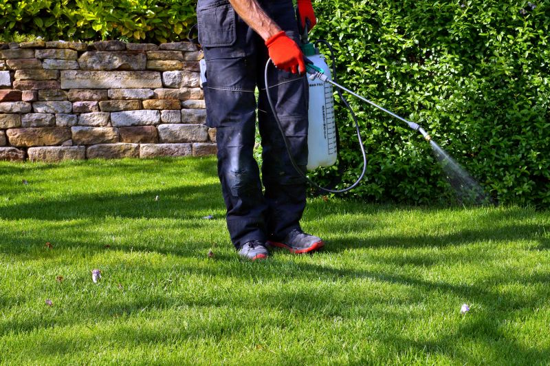 Local Lawn Care Companies